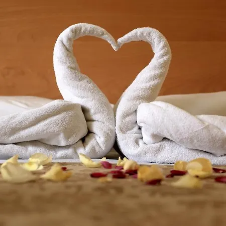 Euro Airport Orly Rungis Hotel 3*